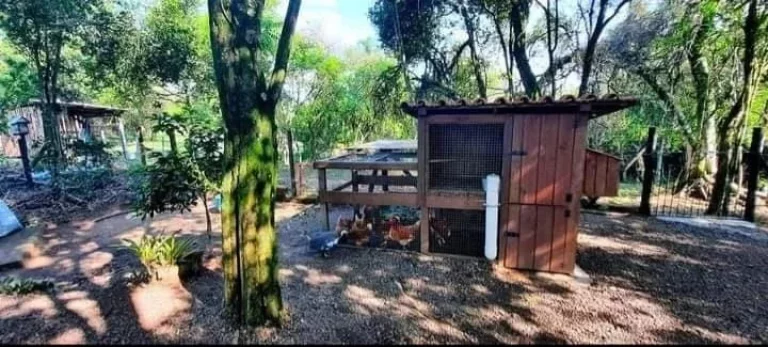 Imagem Lindo Sítio em Arárica com 2 casas construídas