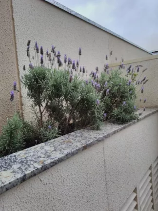 Imagem Apartamento Garden para Venda em Santo André / SP no bairro Vila Curuçá