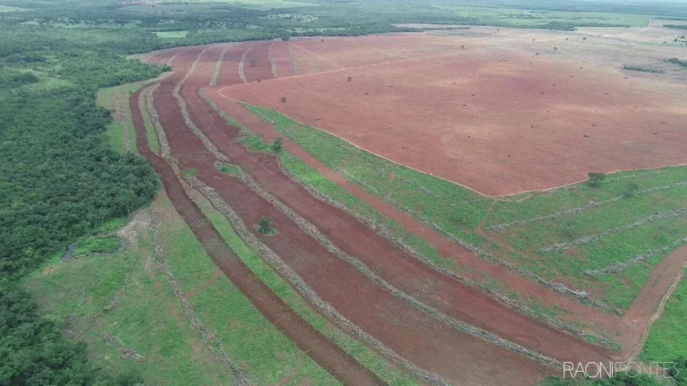 Fazenda à Venda, 10.260.000 m² em Zona Rural - São Valério Da Natividade