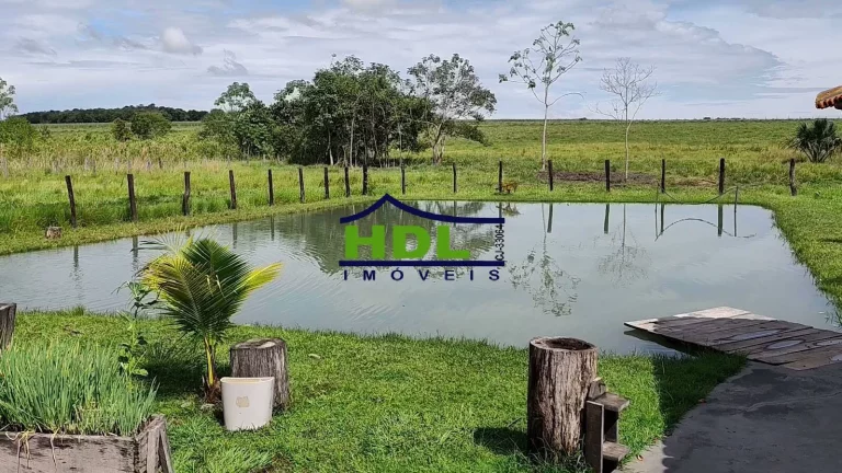 Imagem Chácara com 5 alqs Rica em Água 115 kms de Goiânia