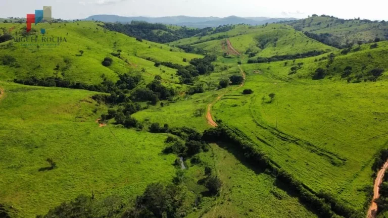 Imagem Fazenda região de Itapira SP