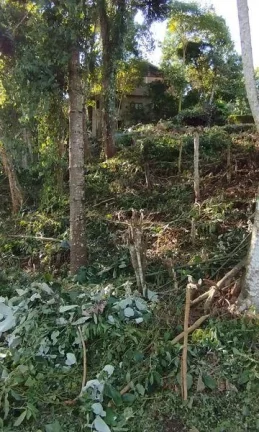Imagem Terreno para Venda em Nova Friburgo, Amparo
