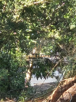 Imagem TE-25241 - TERRENO À VENDA EM JAMBEIRO / SP