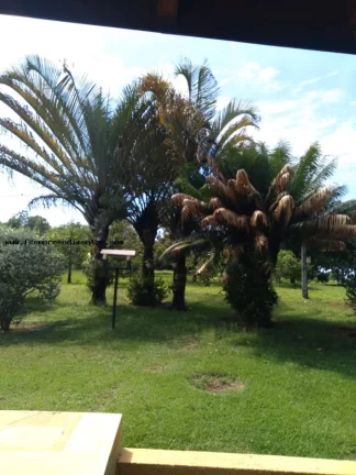 Imagem Chácara para Venda em Espírito Santo do Pinhal, Área Rural de Espírito Santo do Pinhal, 3 dormitórios, 1 suíte, 2 banheiros, 9 vagas
