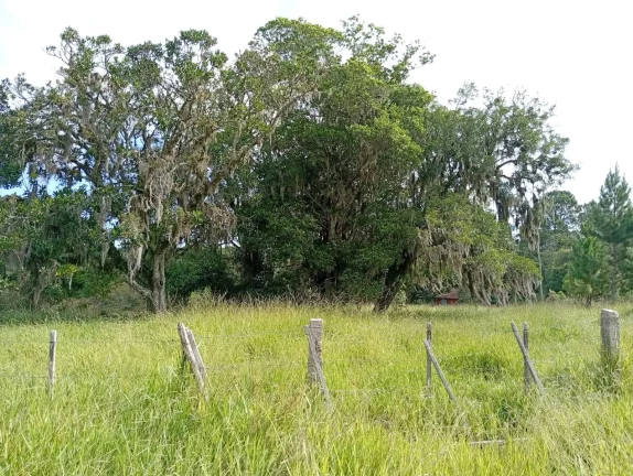 Imagem Sítio a venda com 9 Hectares, Passo da Areia, Viamão/RS