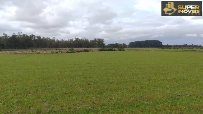 Imagem Fazenda Espetacular no Capão do Leão-RS próximo de Pelotas