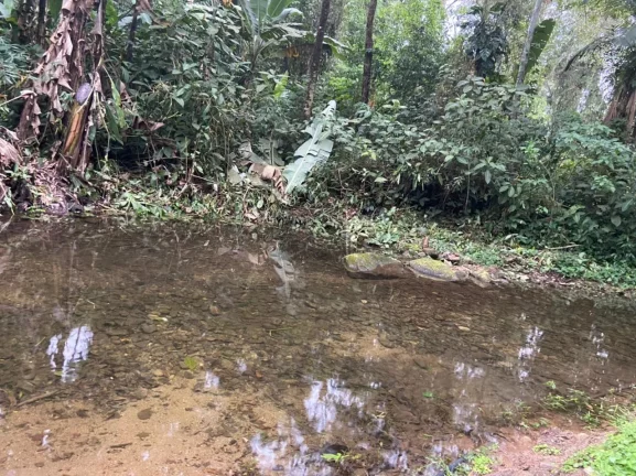 Imagem Studio para Venda em Ubatuba / SP no bairro Figueira (Pé da Serra)