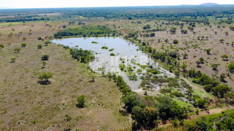 Imagem Fazenda a venda em Formosa: 281 hectares, água perene, dupla aptidão - escriturada e registrada.