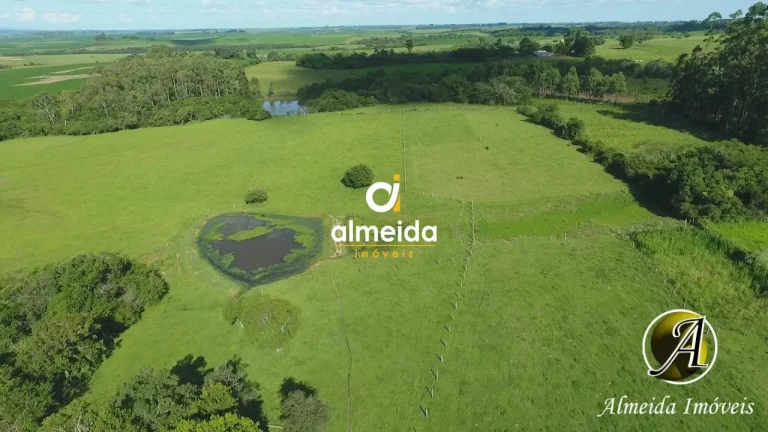 Imagem Chácara com 6,2 ha