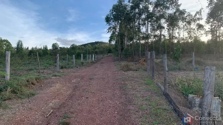 Imagem Sítio à Venda na Comunidade Caixetas – Guimarânia-MG | 11,9 Hectares com Casa de 186m² – R$ 700 Mil