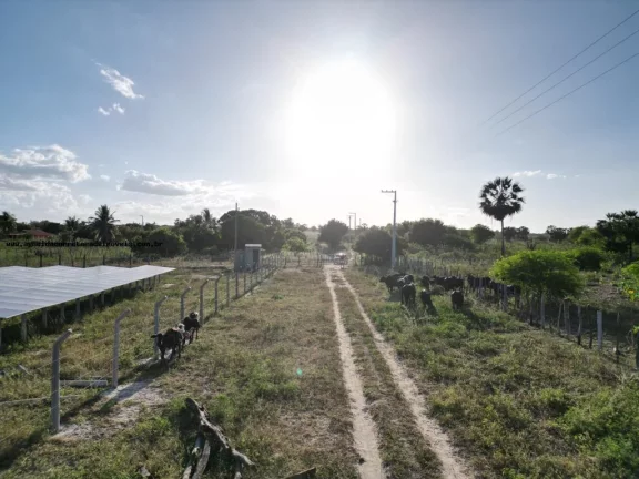 Imagem Fazenda para Venda em Pendências, RN 404 cidade do Rio Grande do Norte.