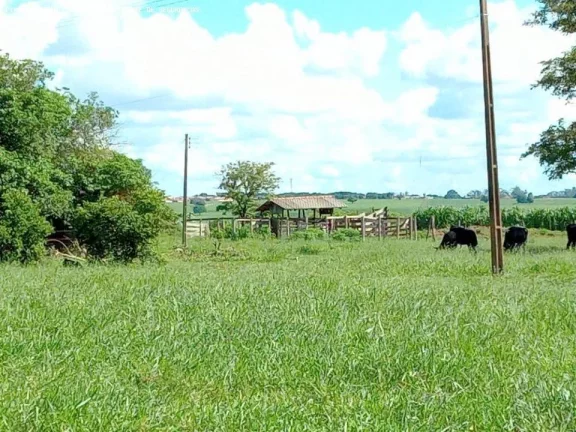 Imagem Chácara para Venda em Flórida, Zona Rural, 4 dormitórios, 1 suíte, 2 banheiros, 3 vagas