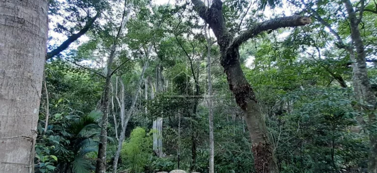 Imagem Terreno para Venda em Florianópolis / SC no bairro Vargem Grande