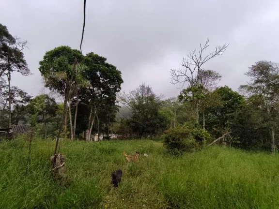 Imagem CHÁCARA RESIDENCIAL À VENDA, ESTÂNCIA PIRATININGA/PALMEIRAS, SUZANO