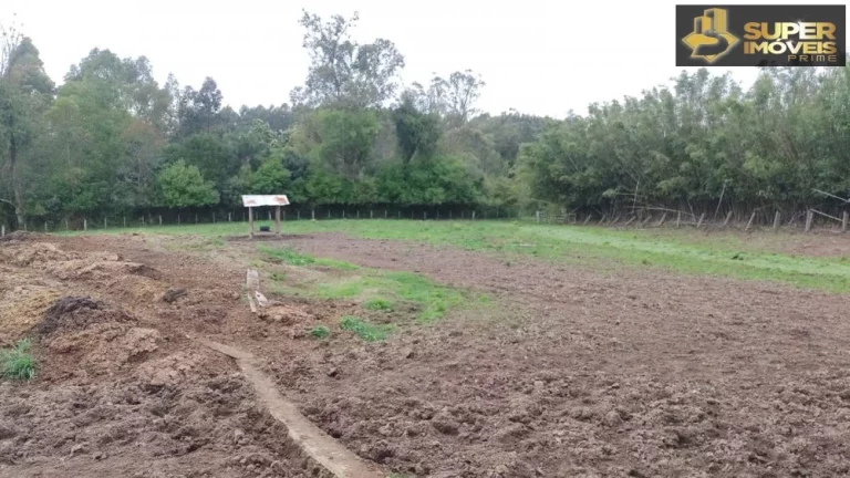 Imagem Fazenda Espetacular no Capão do Leão-RS próximo de Pelotas