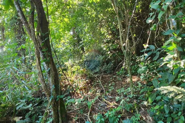 Imagem Terreno 950m, em Araçatiba, Maricá.