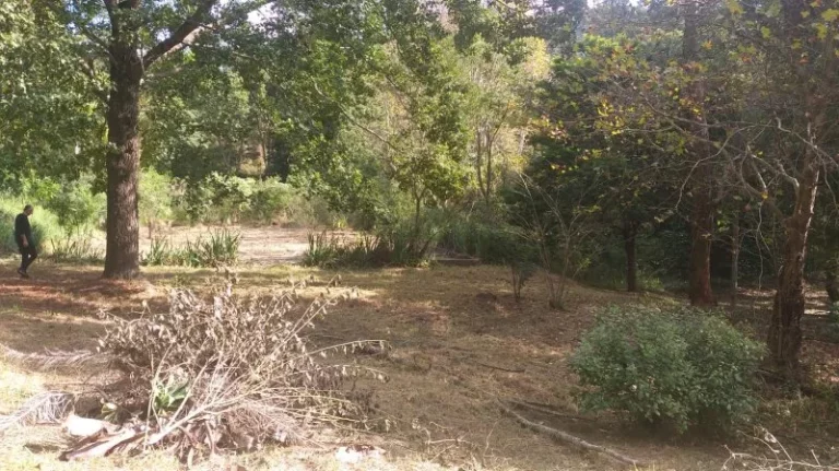 Imagem Sítio - Venda em Cabreúva e Região/SP