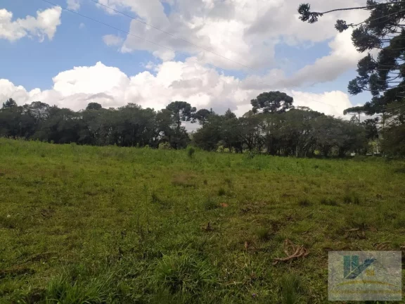Imagem Terreno para Venda em São José dos Pinhais, Contenda, 1 dormitório