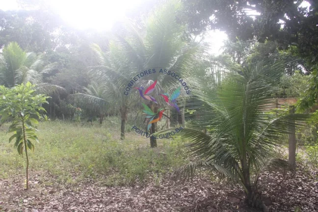 Imagem SÍTIO EM TRANCOSO - PORTO SEGURO - BAHIA