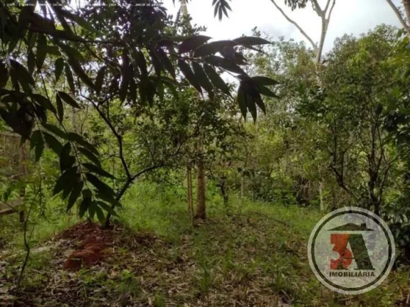 Imagem Chácara Estrada Japonês em Porto Velho