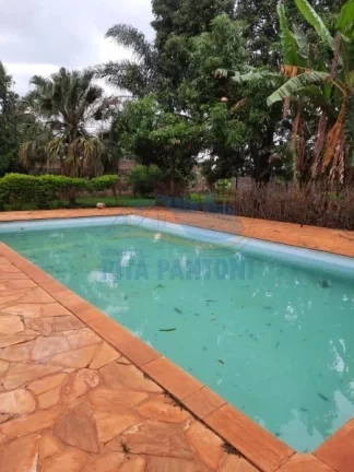 Imagem Chácara - Ribeirão Preto - Bonfim Paulista - Região Sul