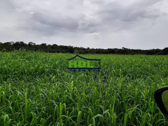 Imagem Fazenda com 15 Alqs com 10 Alqs em soja em Cromínia