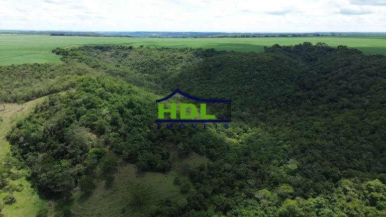 Imagem Fazenda Top para Criação de Gado 100 Kms de Goiânia