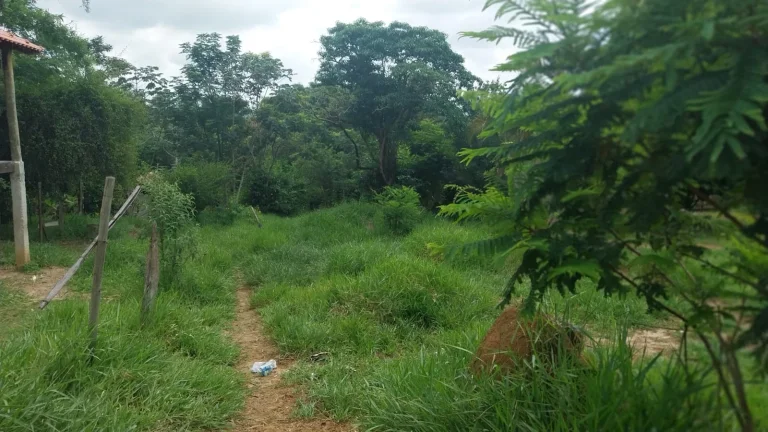 Imagem TERRENO SUPER BATATO NO BOM JARDIM COM ESCRITURA