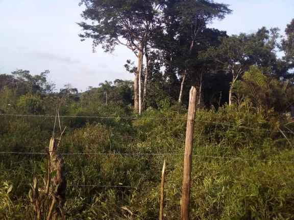 Imagem Terreno para Venda em Itanhaém, Aguapeú