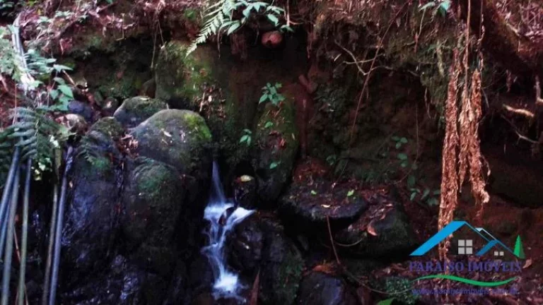 Imagem Paraíso Rural na Serra da Mantiqueira: Rancho com Vista Deslumbrante.