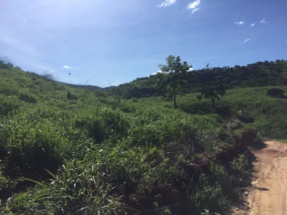 Imagem FAZENDA RURAL em COLATINA - ES, ÁREA RURAL DE COLATINA