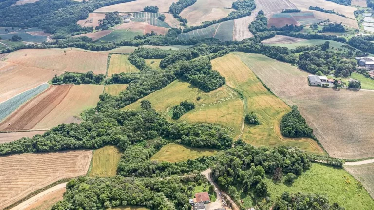 Imagem Chácara com 6 alqueires em Campo Magro