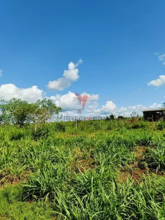 Imagem Chácara 30.000m² em São Miguel do Iguaçu/PR!