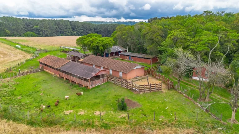 Imagem Sítio à venda na Lapa Paraná