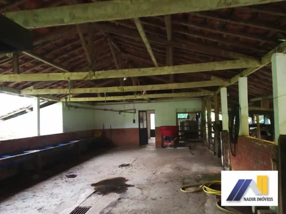 Imagem Fazenda à Venda, 968.000 m² em área Rural - Brasópolis