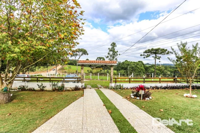 Imagem Sitio maravilhoso com 10,51 hectares - a 200m do Mercado 4 irmãos - Fazendinha - c/ Escritura e Registro - Rio Negro.