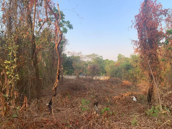 Imagem CHACARA DE 1000 M², EM JUATUBA!