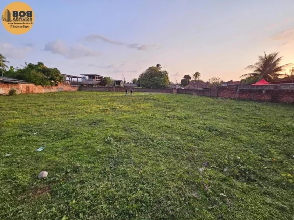 Imagem Terreno Padrão