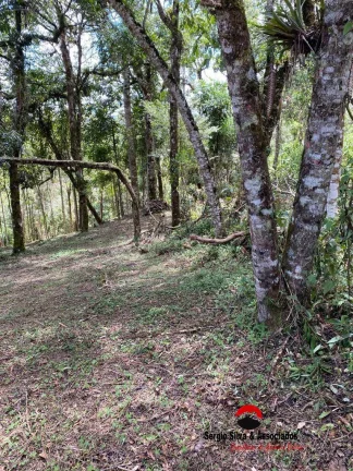 Imagem Terreno a Venda da Região do Alto da Boa Vista em Campos do Jordão - SP.