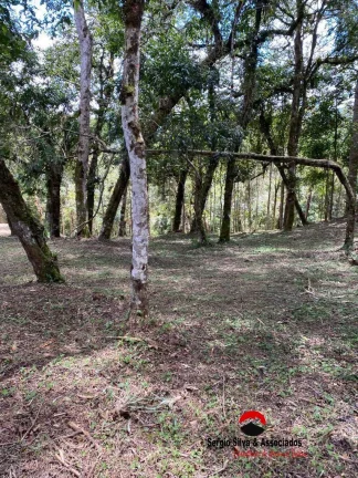 Imagem Terreno a Venda da Região do Alto da Boa Vista em Campos do Jordão - SP.