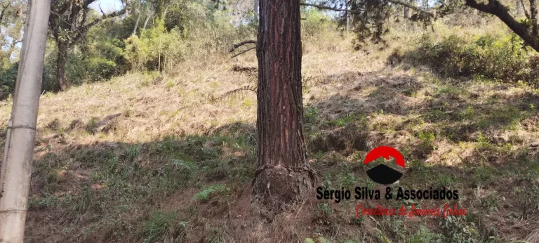 Imagem Terreno a Venda na Região do Alto da Boa Vista em Campos do Jordão -SP.