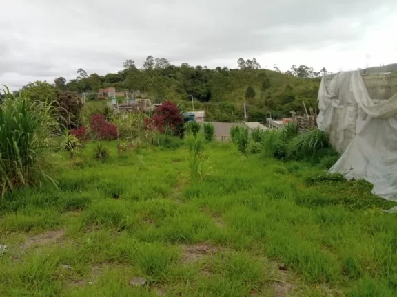 Imagem Terreno, 300 m² - venda por R$ 180.000,00 ou aluguel por R$ 1.530,00/mês - Jardim Brasil - Suzano/SP