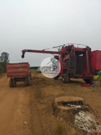 Imagem Fazenda de Café à Venda na Região do Alto Paranaíba - Minas Gerais