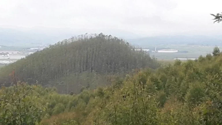 Imagem Fazenda para Venda por R$15.000.000,00 - Centro, Resende / SP - Cód. 13439
