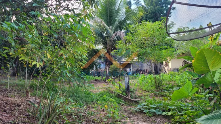 Imagem Chácara no Cidade Nova - Santana do Paraíso