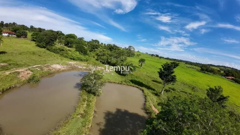 Imagem Fazenda 3 alqueires em Anicuns - Excelente para plantio