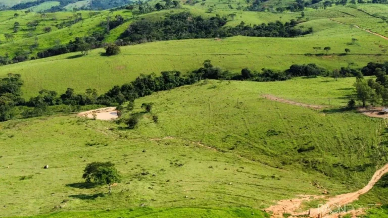 Imagem Fazenda à Venda, 10.357.600 m² em São Geraldo - Belo Horizonte