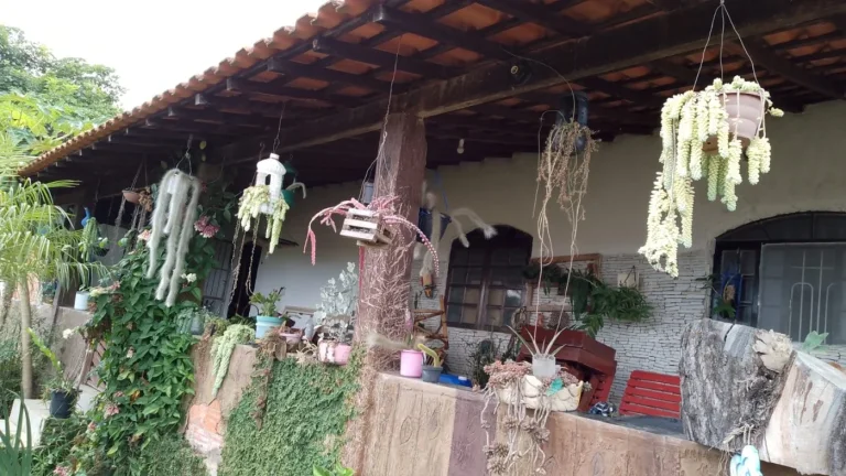 Imagem Chácara para Venda em Salto de Pirapora, Arco Íris, 3 dormitórios, 2 banheiros, 10 vagas