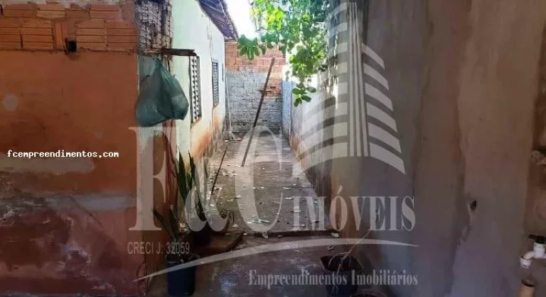 Imagem Casa para Venda em Pereira Barreto, Jardim São Francisco, 2 dormitórios, 2 banheiros, 6 vagas