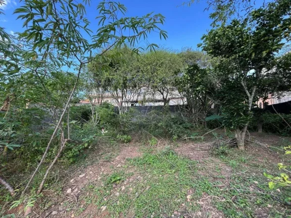 Imagem Casa Ampla e Segura com Grande Área Externa e Horta – 3 Quartos e Vagas para 4 Carros!
